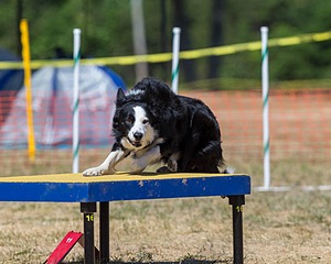 20160619-CCKC-1446.jpg