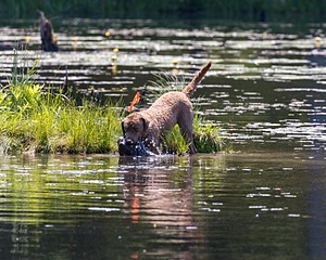 20210606-SEAW-1106.jpg