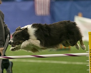20150321-LEAP-0608.jpg