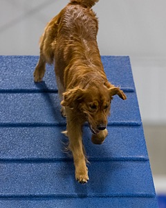 20260627-STCGNY-2006.jpg
