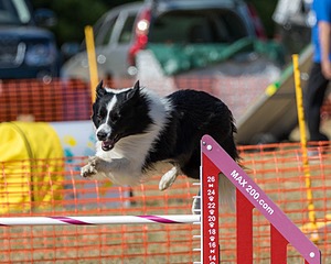 20160619-CCKC-1789.jpg