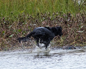 20161008-WCXW-0685.jpg