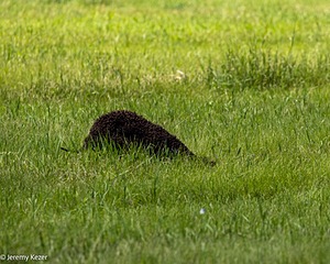 20220613-WD-0443.jpg