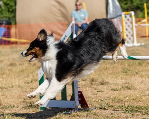 20160619-CCKC-0231.jpg