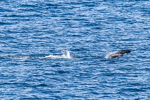 20260327-0057.jpg