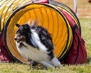 20180616-1097.jpg