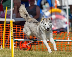 20180617-1683.jpg
