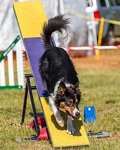 20180617-0299.jpg