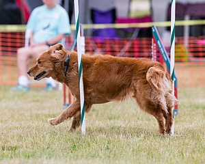 20150612-CCKC-0032.jpg