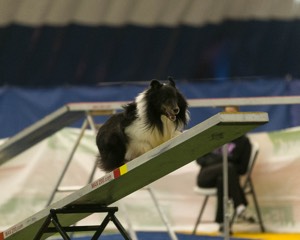 20150321-LEAP-1342.jpg