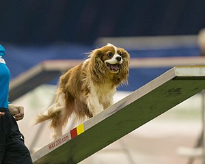 20150321-LEAP-1612.jpg