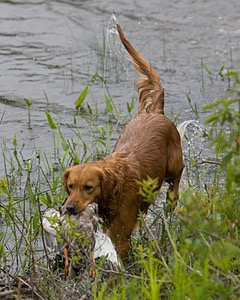 20080531-HRW-0192.jpg
