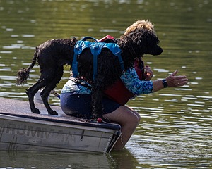 Boaty Bellicose