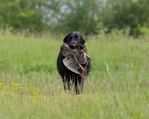 20080531-HRL-0258.jpg