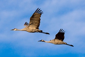 20151210-0343.jpg