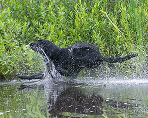 20130713-MHB2-0044.jpg
