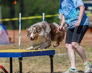 Keebler Derby