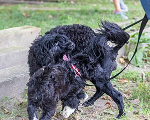 20170819-C-0015.jpg