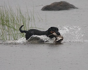 20080531-HRW-1162.jpg