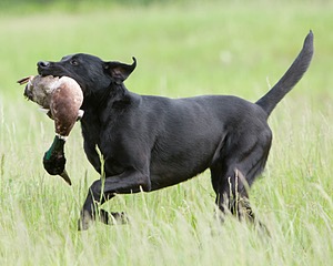 20080531-HRL-0336.jpg