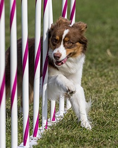 20230916-PVKC-1326.jpg