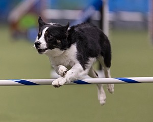 20260222-1229.jpg