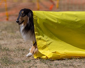 20160619-CCKC-1573.jpg