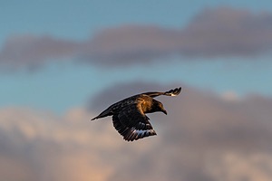 20191212-0904.jpg