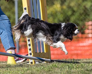 20200819-2569.jpg