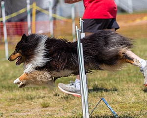 20180617-1445.jpg