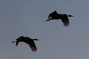 20151205-0885.jpg