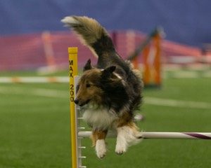 20150321-LEAP-1323.jpg