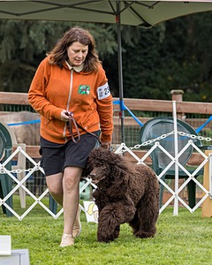 2304 - GCH CH BREKKON'S FIRST MARK BN RN CGC TKN