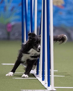 Breeze Schunk