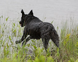 20080531-HRW-0124.jpg