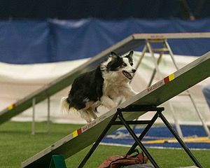 20150321-LEAP-0876.jpg