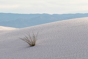 20151209-0073.jpg