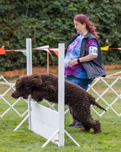 2401 - CAT'S' RUSTY CHARLIE RI CGC TKA (Dugan)
