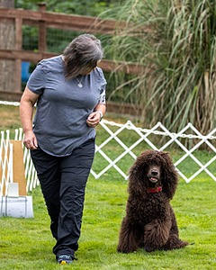2801 - FINNIBONE'S CUZ MAMA CAN RE DS DJA CGC TKN VHMA (Mamma Cass)
