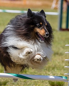 20180616-1248.jpg