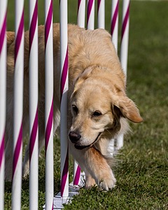 20230916-PVKC-1338.jpg
