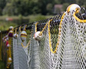 20190817-C-0019.jpg