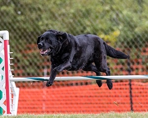 20200819-1122.jpg