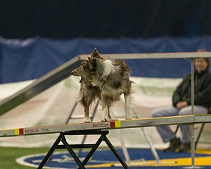 20150321-LEAP-0795.jpg