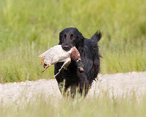 20080531-HRL-0243.jpg