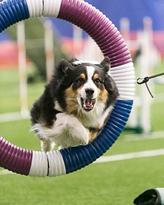 20150322-LEAP-0539.jpg