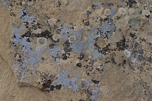 20151204-0240.jpg