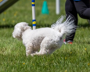20170520-NEAT-1587.jpg