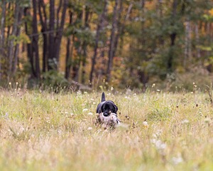 20211010-WCL-0925.jpg