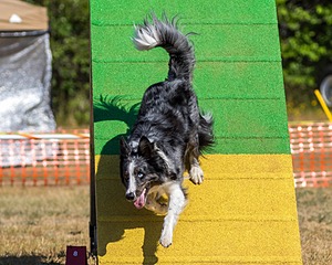 20160619-CCKC-0293.jpg